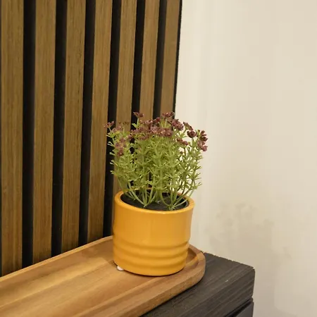 Msf Wolf Кассель