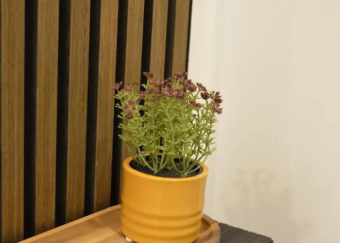 Msf Wolf Кассель